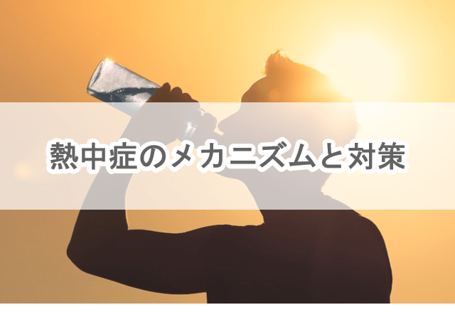 熱中症のメカニズムと対策